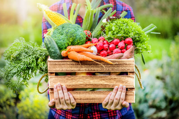 Seasonal produce and weekly features at Bayshore Market in Naples Florida